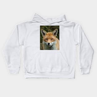 Red Fox portrait Kids Hoodie